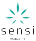 Sensi Logo - transparent background 